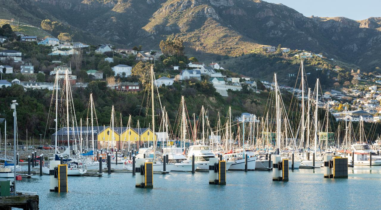 Akaroa Harbour Cruise to see Hector’s Dolphins - Small Group Tour - Photo 1 of 22